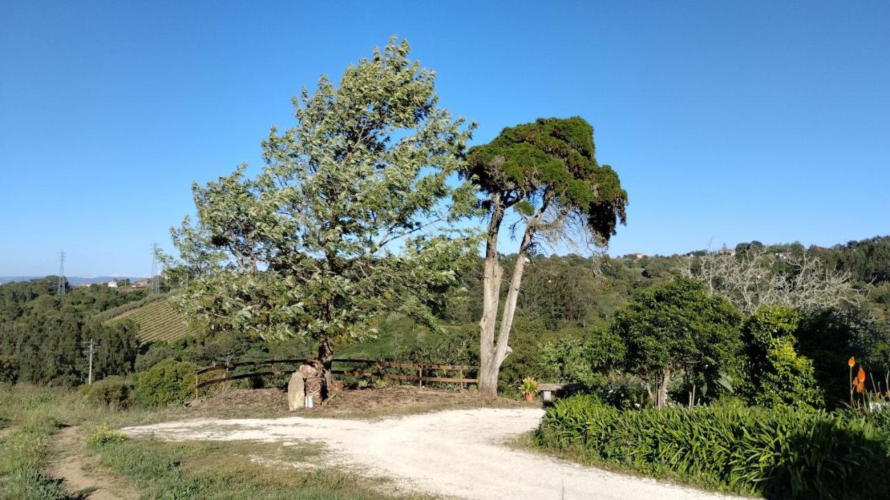 Quinta Do Oratorio Agroturismo Óbidos Eksteriør bilde
